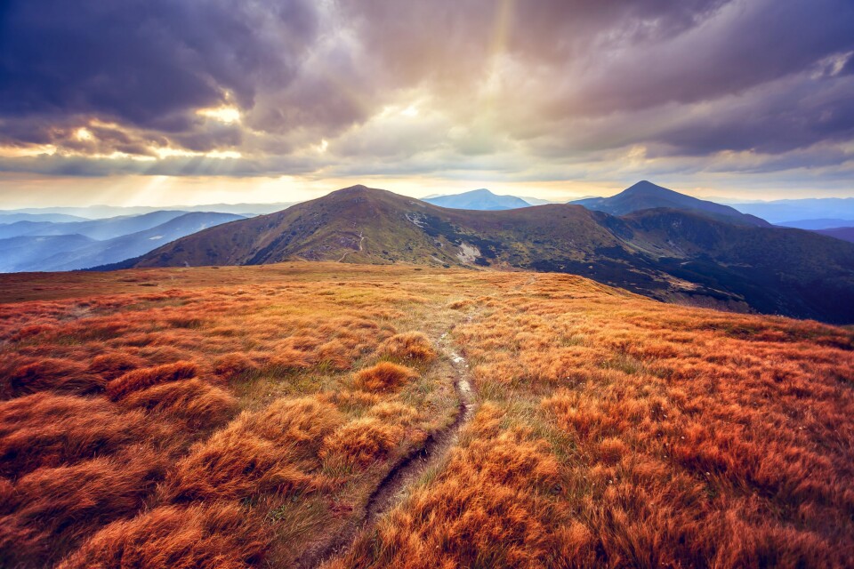 PP landscape18 scaled