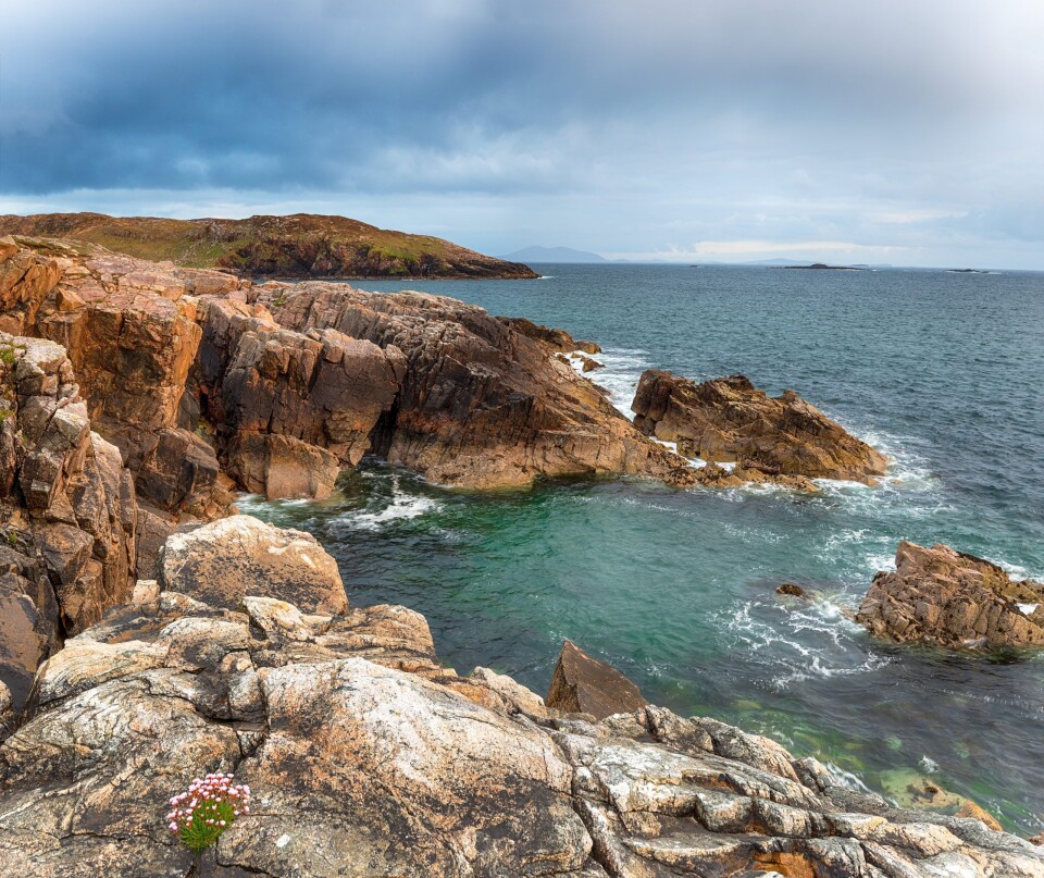 PP landscape5 scaled 1